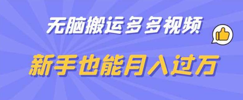 无脑搬运多多视频,新手也能月入过万【揭秘】-第一资源库