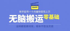 揭秘最新爆火无脑搬运故事桥段撸金项目,零基础可月入上万【全套详细玩法教程】-第一资源库