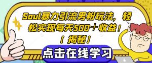 Soul暴力引流男粉玩法,轻松实现每天500+收益!【揭秘】-第一资源库
