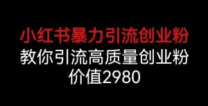小红书暴力引流创业粉，教你引流高质量创业粉，价值2980【揭秘】-第一资源库