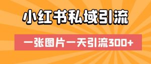 小红书私域引流,一张图片一天引流300+【揭秘】-第一资源库
