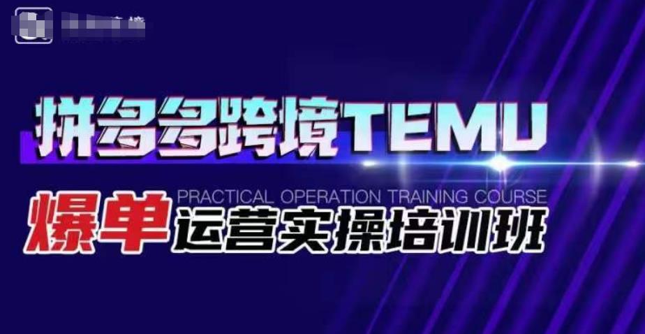 拼多多跨境TEMU爆单运营实操培训班,海外拼多多的选品、运营、爆单-第一资源库