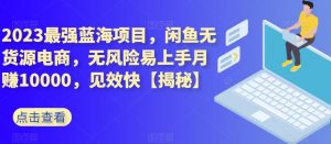 2023最强蓝海项目,闲鱼无货源电商,无风险易上手月赚10000,见效快【揭秘】-第一资源库