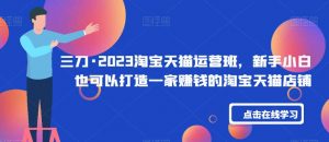 三刀·2023淘宝天猫运营班,新手小白也可以打造一家赚钱的淘宝天猫店铺-第一资源库