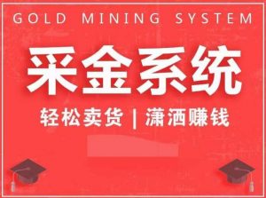 采金系统2.0,私域成交,快速成交收钱,轻松卖货,业绩暴涨,潇洒赚钱-第一资源库