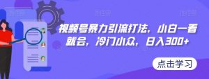 视频号暴力引流打法,小白一看就会,冷门小众,日入300+【揭秘】-第一资源库