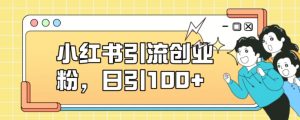 小红书引流创业粉,日引100+【揭秘】-第一资源库