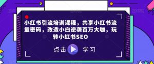 小红书引流培训课程,共享小红书流量密码,改造小白逆袭百万大咖,玩转小红书SEO-第一资源库