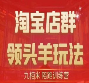 九栢米-淘宝店群领头羊玩法,教你整个淘宝店群领头羊玩法以及精细化/终极蓝海/尾销等内容-第一资源库