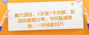 暴力项目,1天花1个小时,玩知识截图分享,引导私域变现,一月轻松过万【截图】-第一资源库