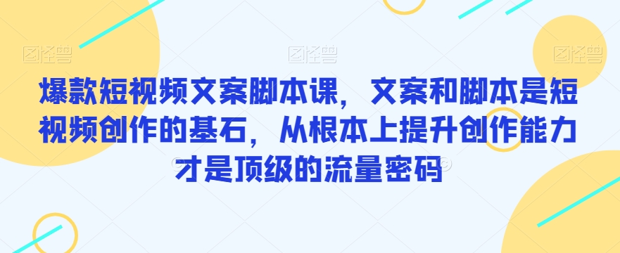 爆款短视频文案脚本课,文案和脚本是短视频创作的基石,从根本上提升创作能力才是顶级的流量密码-第一资源库