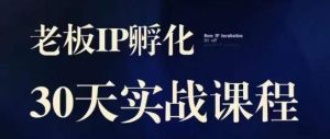 诸葛·2023老板IP实战课,实体同城引流获客,IP孵化必听-第一资源库
