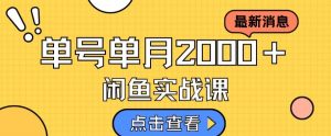 最新闲鱼日入500+,虚拟资料变现喂饭级讲解-第一资源库