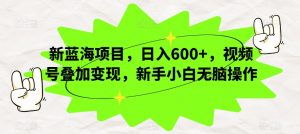 新蓝海项目,日入600+,视频号叠加变现,新手小白无脑操作【揭秘】-第一资源库
