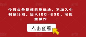 今日头条视频另类玩法,不加入中视频计划,日入100-200,可批量操作【揭秘】-第一资源库