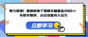 暴力变现!靠搬砖发个视频无脑撸金2000+!手把手教学,小白也能月入过万【揭秘】-第一资源库