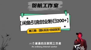 第三期:暴力引流,无脑搬运,闲鱼创业粉引流一天200+,更新全自动发货的团队闭环模式【揭秘】-第一资源库