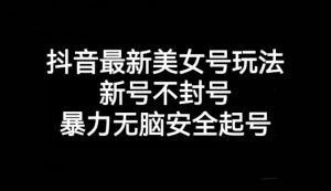 抖音最新美女号玩法,新号不封号,暴力无脑安全起号【揭秘】-第一资源库