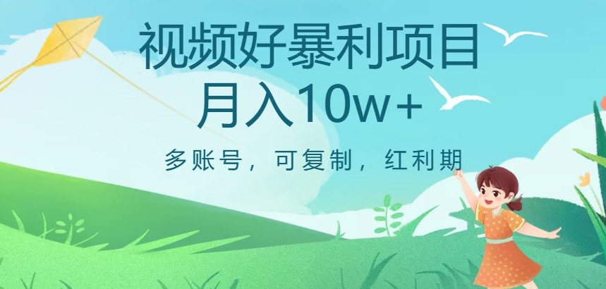 视频号暴利项目,多账号,可复制,红利期,月入10w+【揭秘】-第一资源库