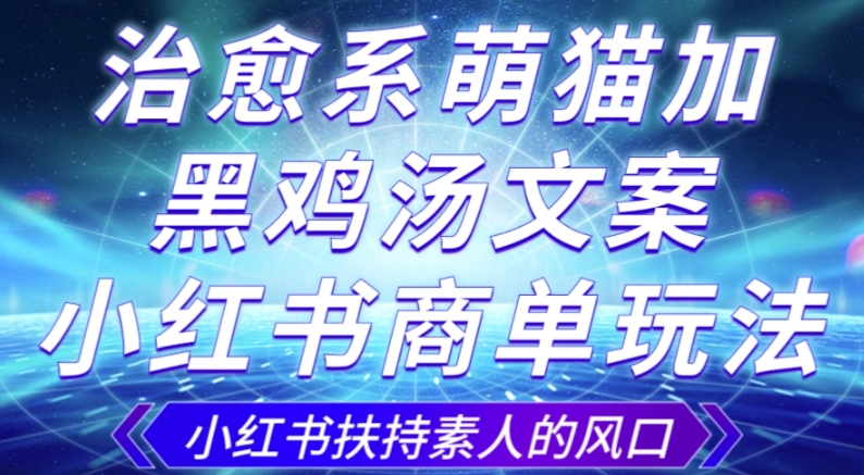 治愈系萌猫加+黑鸡汤文案,小红书商单玩法,3~10天涨到1000粉,一单200左右-第一资源库