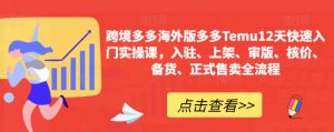 跨境多多海外版多多Temu12天快速入门实操课,入驻、上架、审版、核价、备货、正式售卖全流程-第一资源库