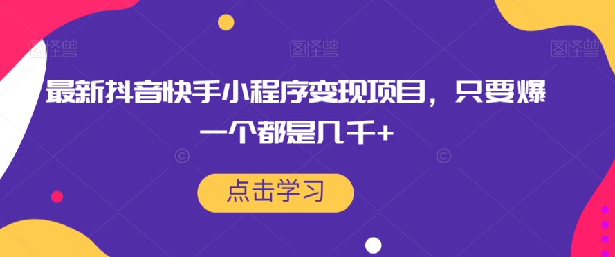 最新抖音快手小程序变现项目,只要爆一个都是几千+-第一资源库