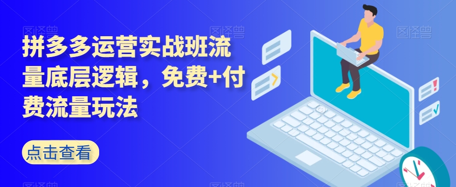 拼多多运营实战班流量底层逻辑,免费+付费流量玩法-第一资源库