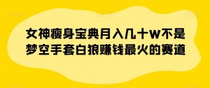 女神瘦身宝典月入几十W不是梦空手套白狼赚钱最火的赛道【揭秘】-第一资源库