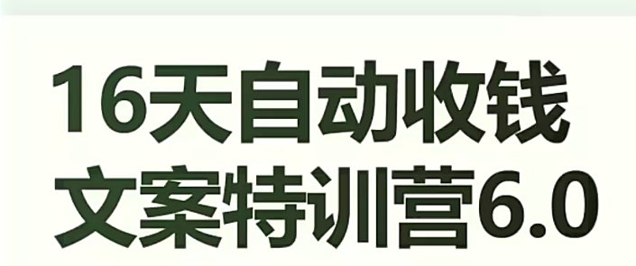16天自动收钱文案特训营6.0,学会儿每天自动咔咔收钱-第一资源库