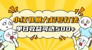 小红书暴力起号秘籍,11月最新玩法,单天变现500+,素人冷启动自媒体创业【揭秘】-第一资源库