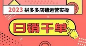 2023拼多多运营实操，每天30分钟日销1000＋，爆款选品技巧大全（10节课）-第一资源库