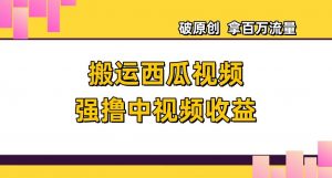 搬运西瓜视频强撸中视频收益,日赚600+破原创,拿百万流量【揭秘】-第一资源库