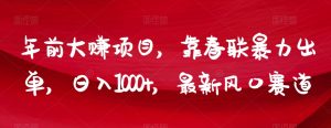年前大赚项目，靠春联暴力出单，日入1000+，最新风口赛道【揭秘】-第一资源库