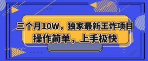 三个月10W，独家最新王炸项目！操作简单，上手极快【揭秘】-第一资源库