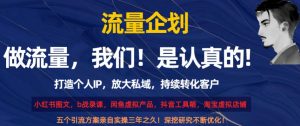流量企划,打造个人IP,放大私域,持续转化客户【揭秘】-第一资源库