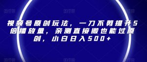 视频号原创玩法,一刀不剪提升5倍播放量,亲测直接搬也能过原创,小白日入500+【揭秘】-第一资源库