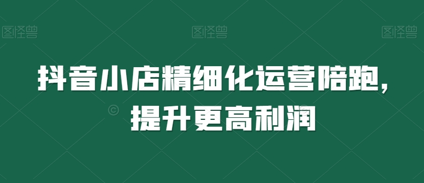 抖音小店精细化运营陪跑,提升更高利润-第一资源库