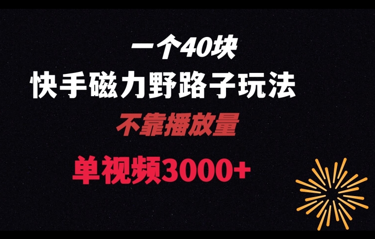 一个40块,快手联合美团磁力新玩法,无视机制野路子玩法,单视频收益4位数【揭秘】-第一资源库