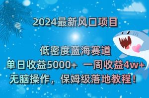 2024最新风口项目,低密度蓝海赛道,单日收益5000+,一周收益4w+!【揭秘】-第一资源库