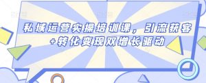 私域运营实操培训课,引流获客+转化变现双增长驱动-第一资源库