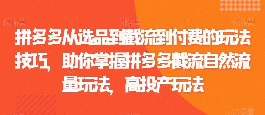 拼多多从选品到截流到付费的玩法技巧,助你掌握拼多多截流自然流量玩法,高投产玩法-第一资源库