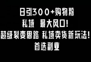 日引300+购物粉，超级裂变思路，私域卖货新玩法，小红书首选副业【揭秘】-第一资源库