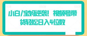 小白/宝妈逆袭!视频号带货轻松日入4位数【揭秘】-第一资源库