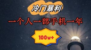 暴利冷门赛道,一单268,一个人一部手机一年100w【揭秘】-第一资源库