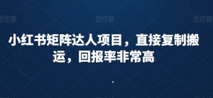 小红书矩阵达人项目,直接复制搬运,回报率非常高-第一资源库