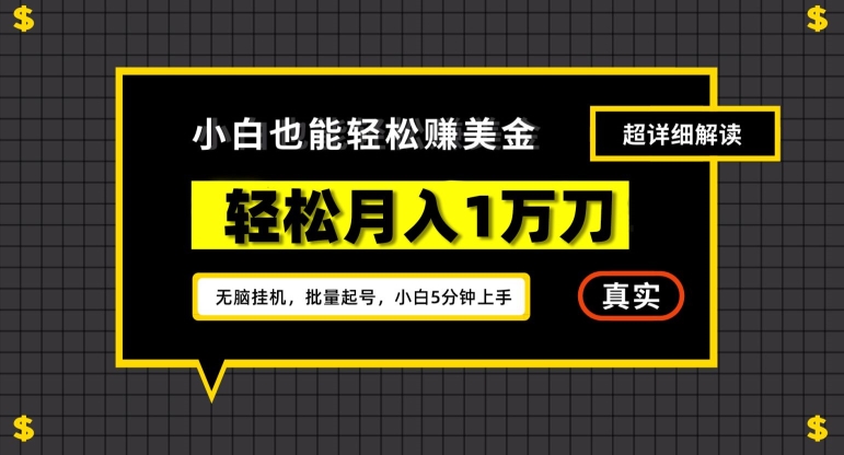 谷歌看广告撸美金2.0,无脑挂机,多号操作,月入1万刀【揭秘】-第一资源库