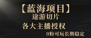 一天收入2000+,最新中视频创新玩法,用AI科技一键改唱影解说刷爆流量收益【揭秘】-第一资源库