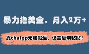 暴力撸美金,月入2万+!靠chatgp无脑搬运,仅需复制粘贴【揭秘】-第一资源库