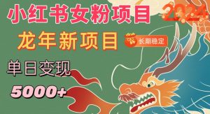 小红书女粉头像项目,单日变现5000+,适合在家做的副业,长期稳定【揭秘】-第一资源库