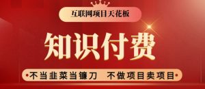 2024互联网项目天花板,新手小白也可以通过知识付费月入10W,实现财富自由【揭秘】-第一资源库